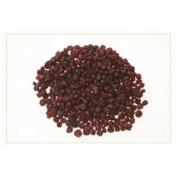 Preiselbeeren (Vaccinium vitis idaea)